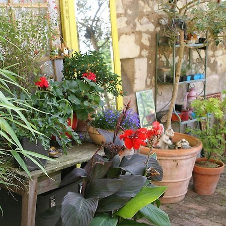Les Petites Mirabelles Bed & Breakfast Ноайе-сюр-Шер Екстериор снимка